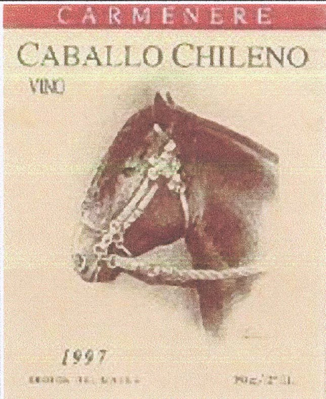 CABALLO CHILENO