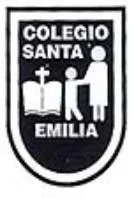 COLEGIO SANTA EMILIA