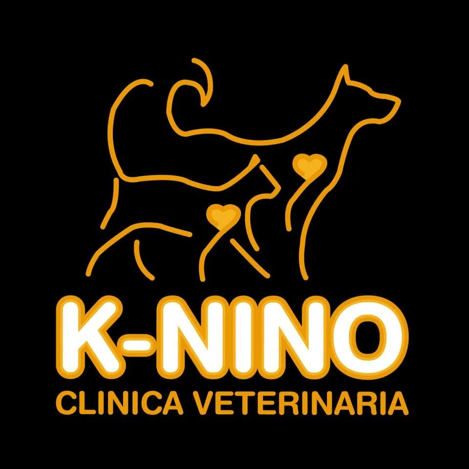 CLINICA VETERINARIA K-NINO