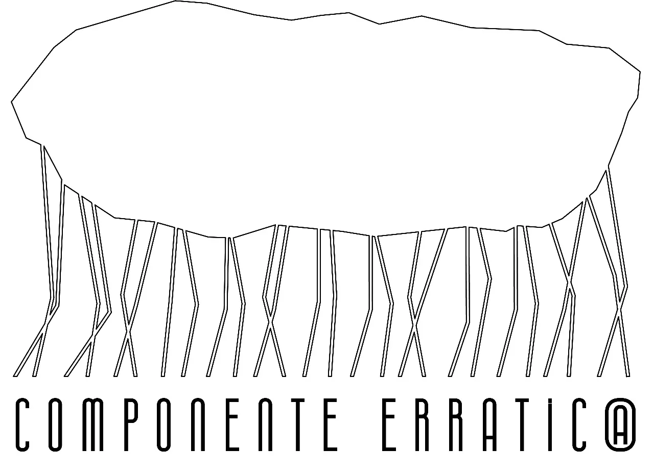 COMPONENTE ERRATIC@