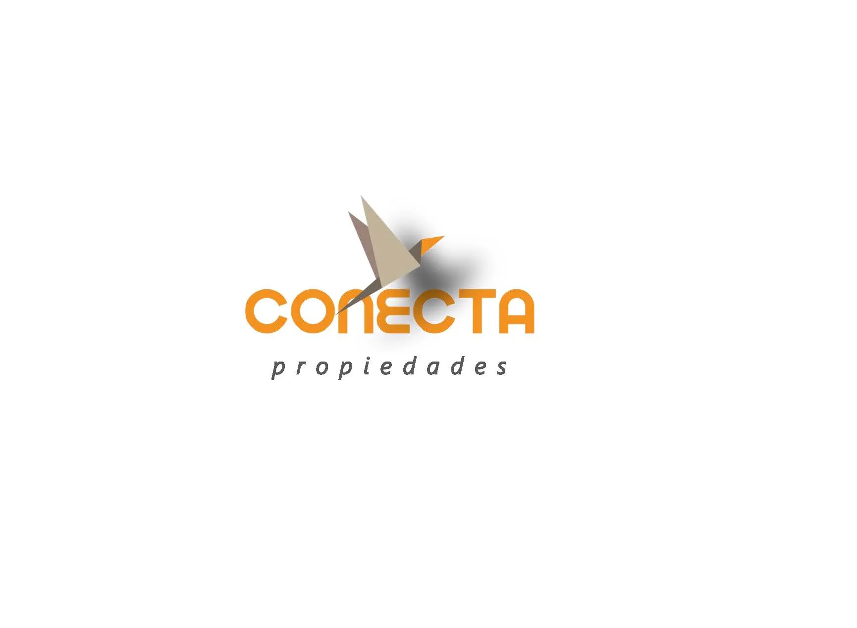 Conecta Propiedades