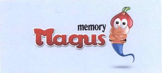 MEMORY MAGUS