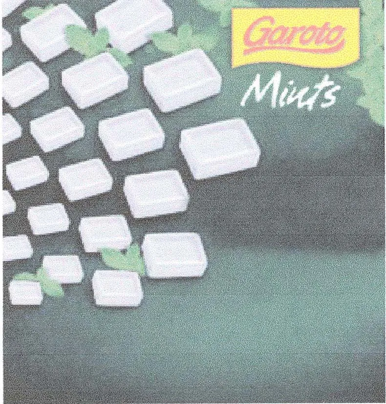 GAROTO MINTS