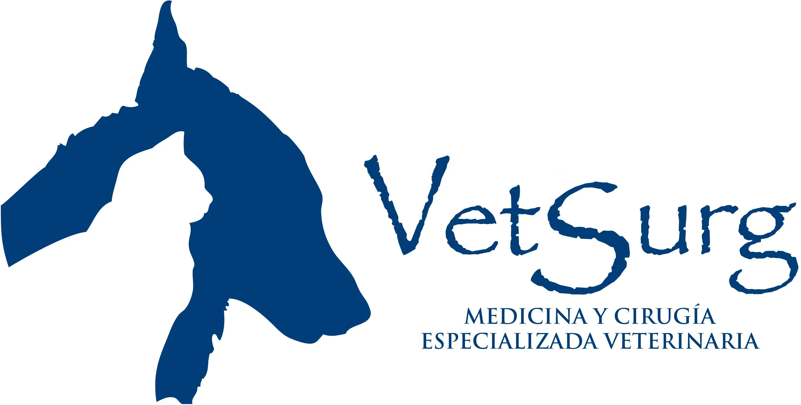 VETSURG
