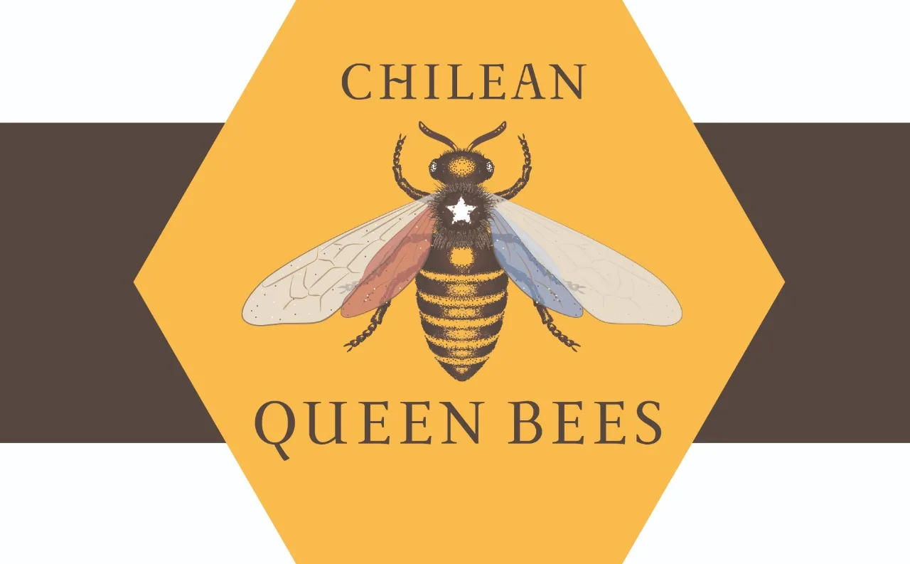 CHILEAN QUEEN BEES