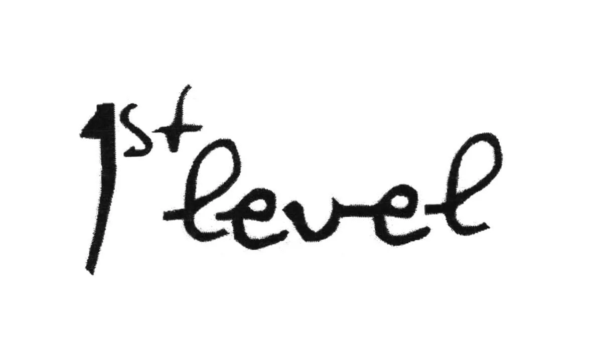 1ST LEVEL