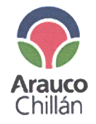 ARAUCO CHILLAN
