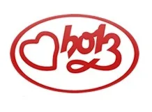 HOLZ