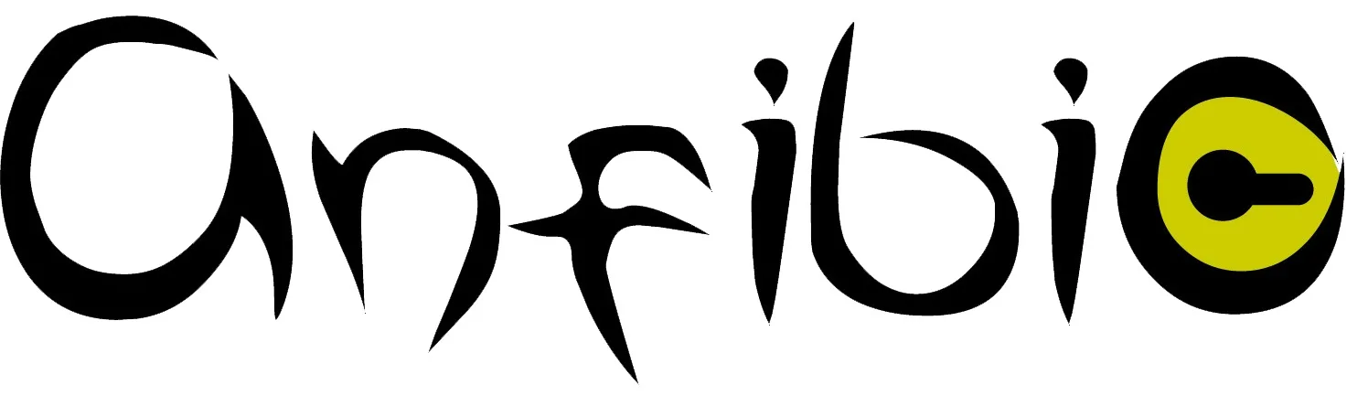 Anfibio