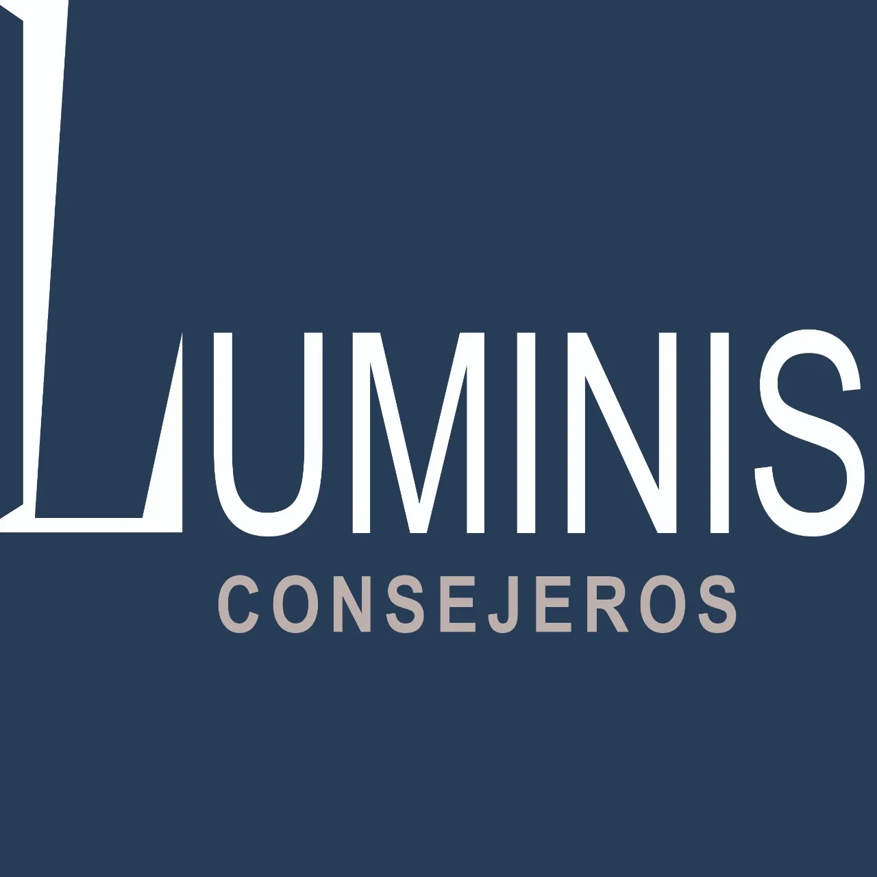 LUMINIS CONSEJEROS