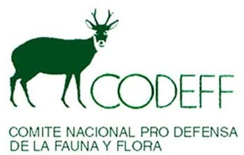 CODEFF