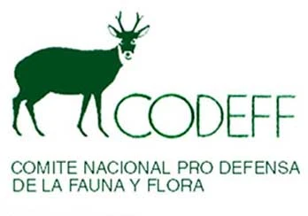 CODEFF