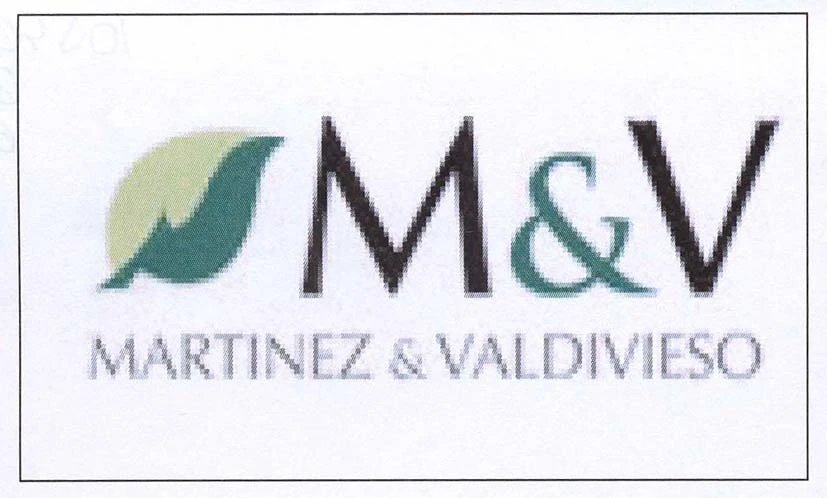 M&V MARTINEZ & VALDIVIESO