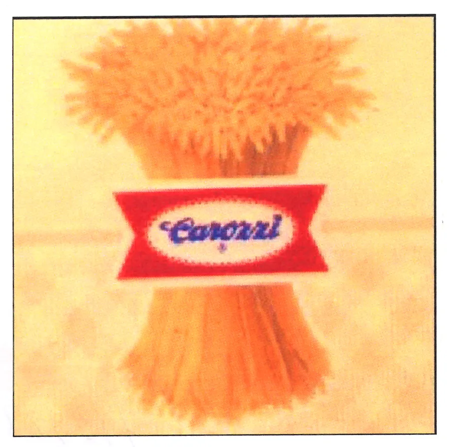 CAROZZI