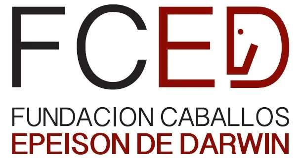 FCED FUNDACION CABALLOS EPEISON DE DARWIN