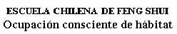 ESCUELA CHILENA DE FENG SHUI