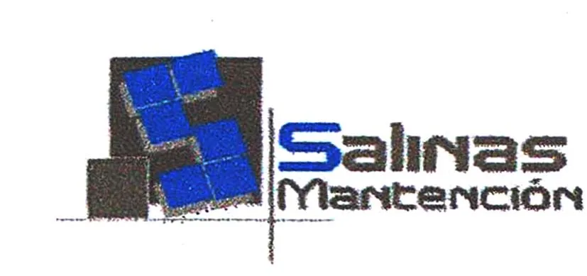S SALINAS MANTENCION