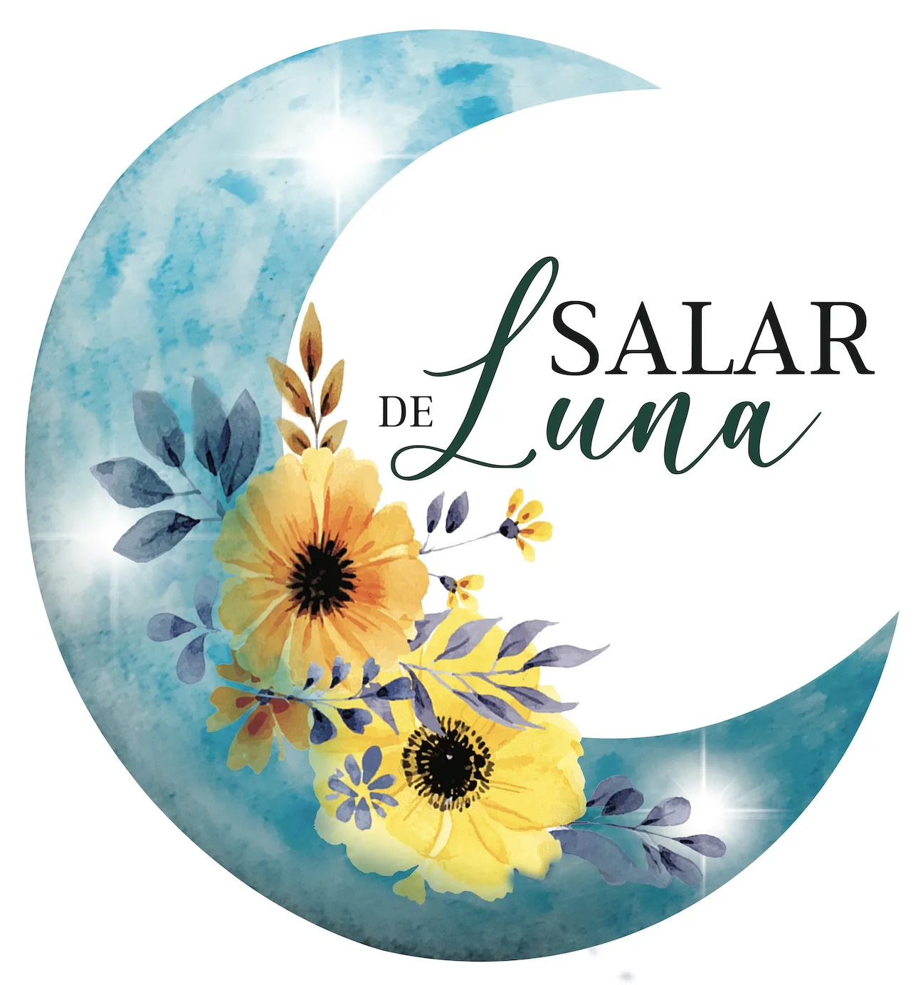 SALAR DE LUNA
