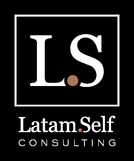 L.S Latam.Self CONSULTING