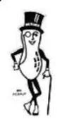 MR PEANUT