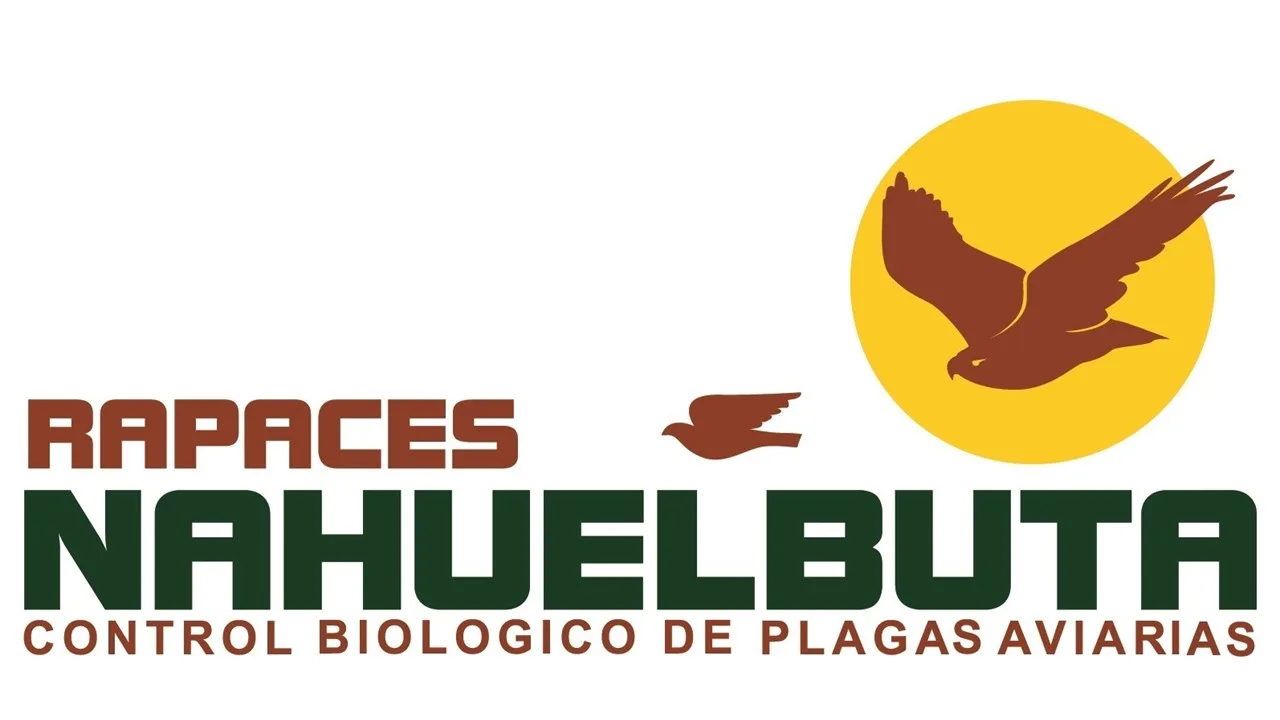 Rapaces Nahuelbuta