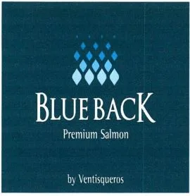 BLUE BACK PREMIUM SALMON BY VENTISQUEROS