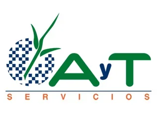 AYT SERVICIOS