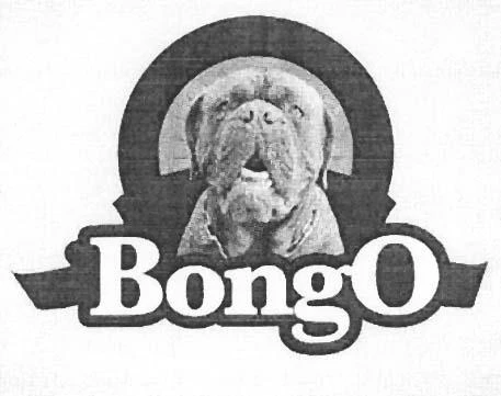 BONGO