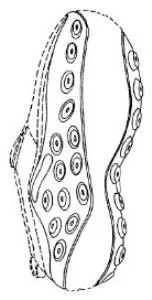 Acta 1433168