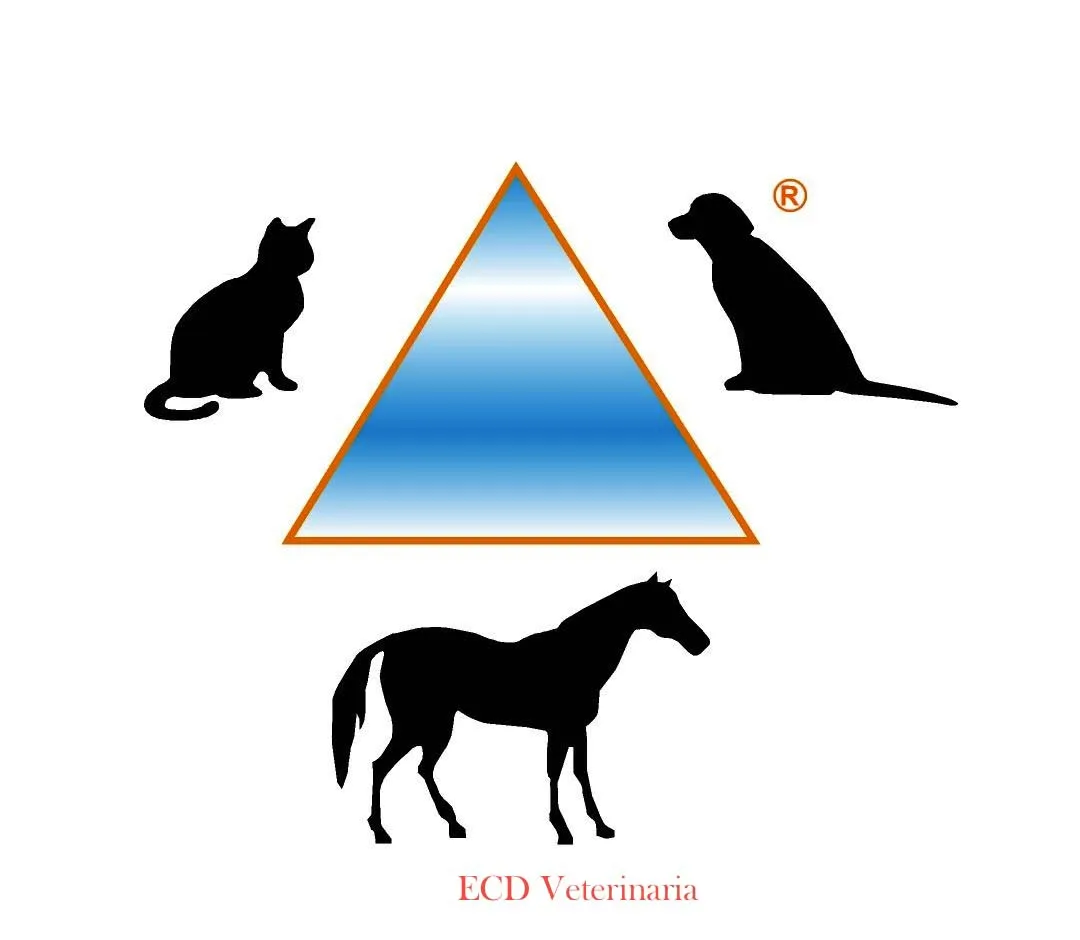 ECD VETERINARIA