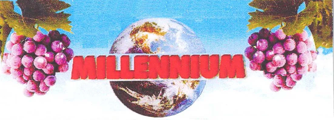 MILLENNIUM