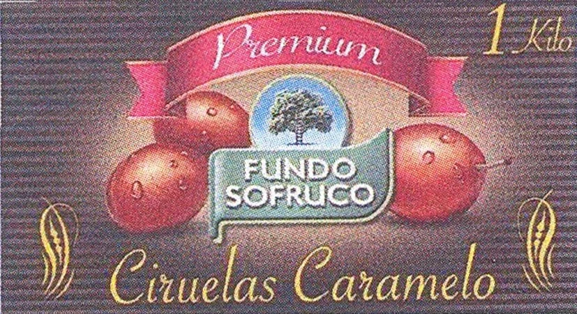 PREMIUM FUNDO SOFRUCO CIRUELAS CARAMELO