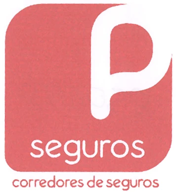 P SEGUROS
