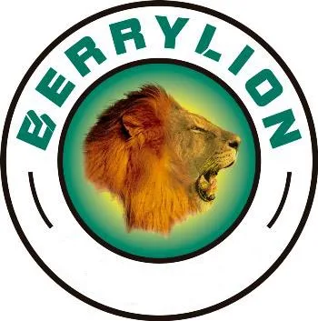BERRYLION