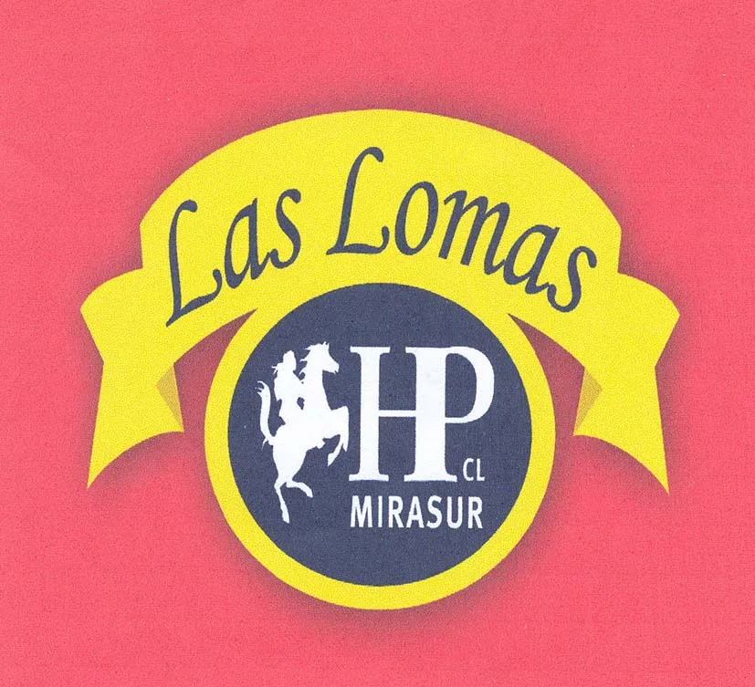 LAS LOMAS HP CL MIRASUR