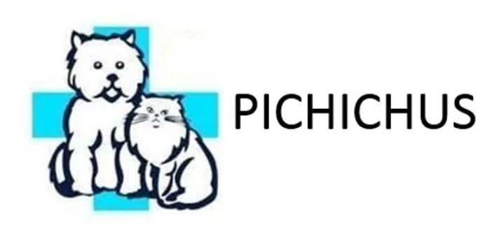 PICHICHUS