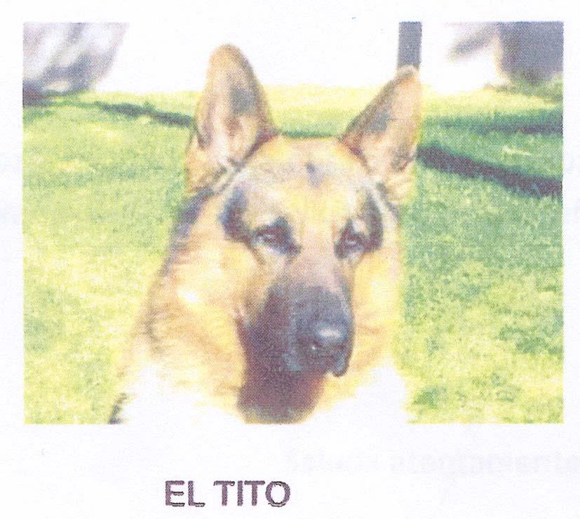 EL TITO