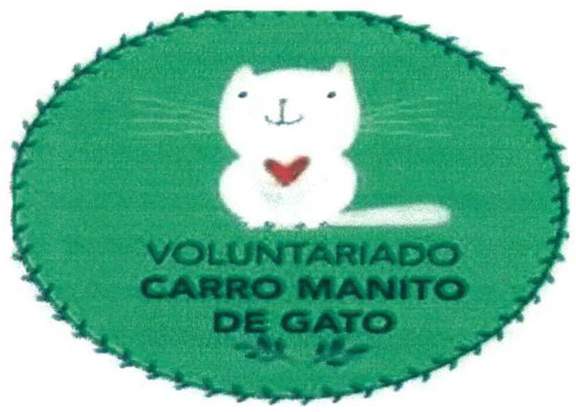 CARRO MANITO DE GATO