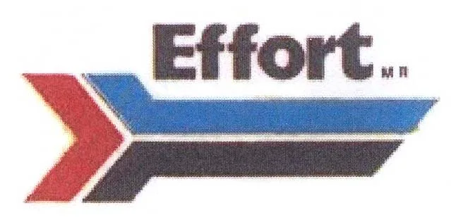 EFFORT