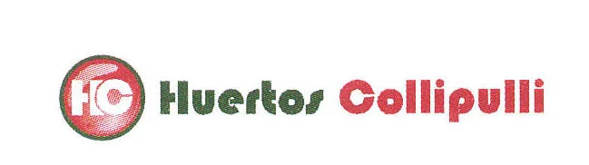 HC HUERTOS COLLIPULLI