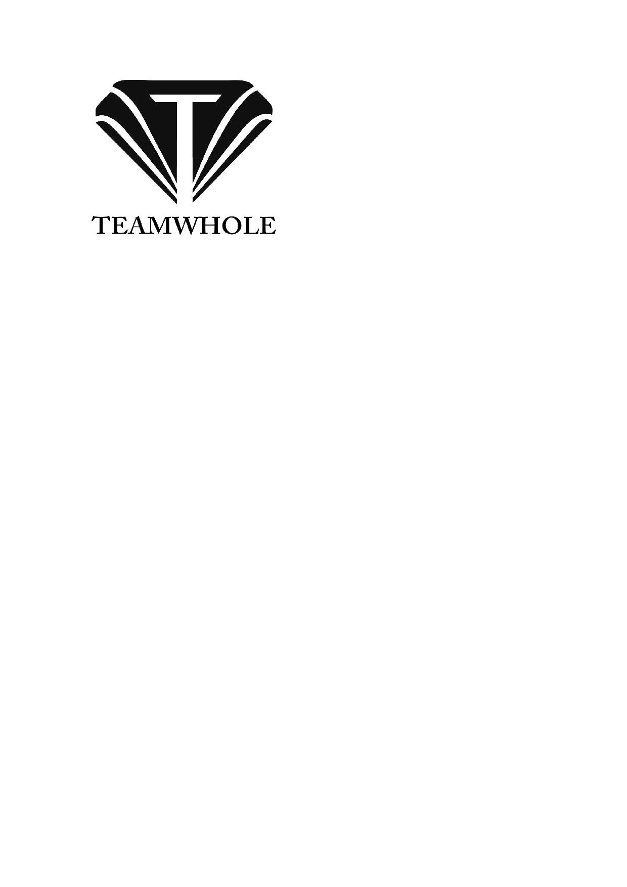 TEAMWHOLE