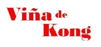 VIÑA DE KONG