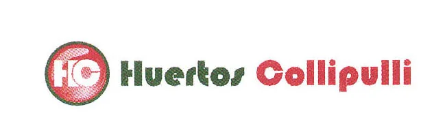 HC HUERTOS COLLIPULLI