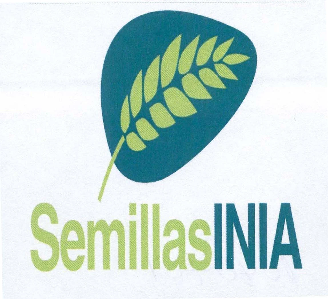 SEMILLASINIA