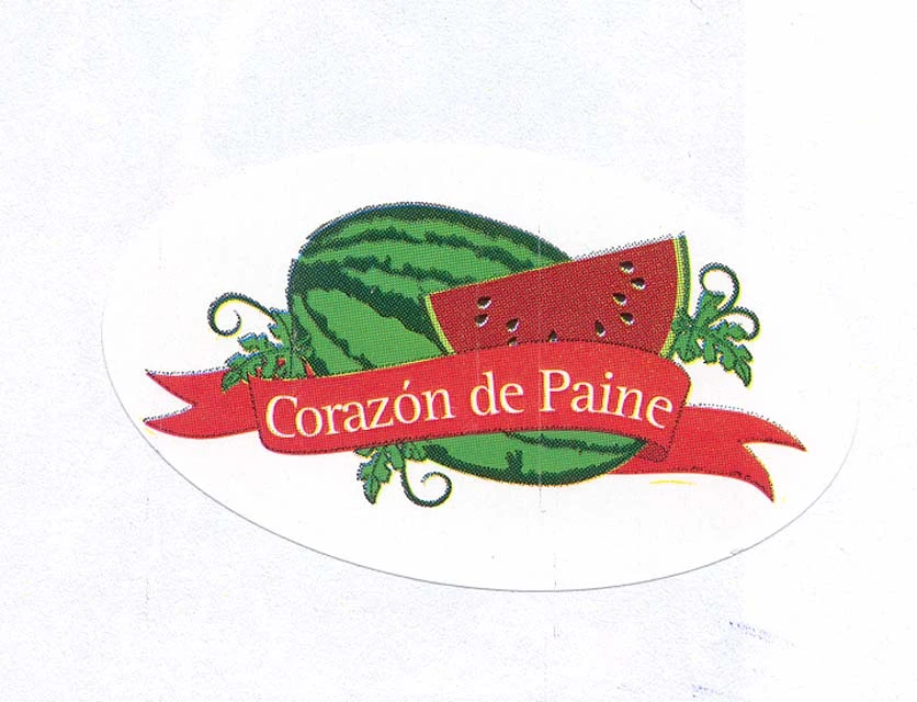 CORAZON DE PAINE