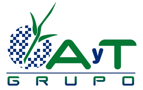 GRUPO AYT