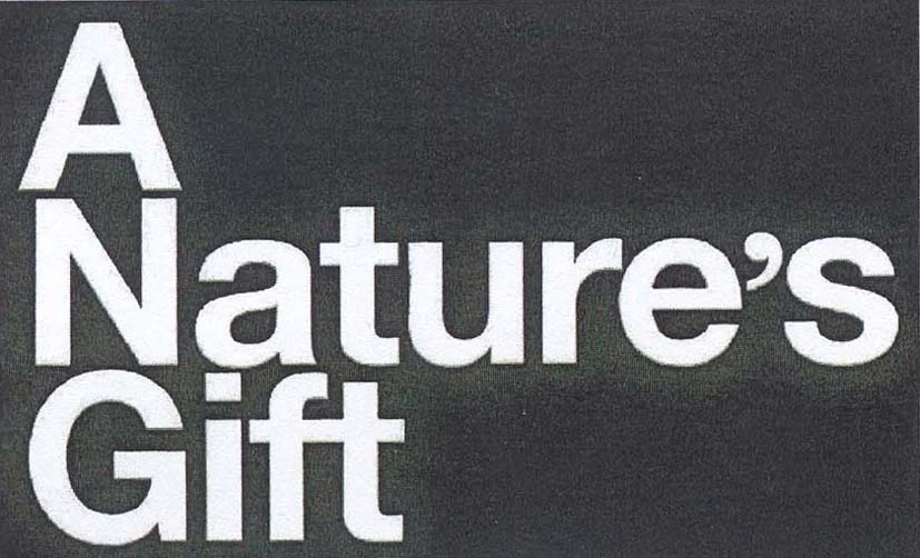 A NATURE'S GIFT