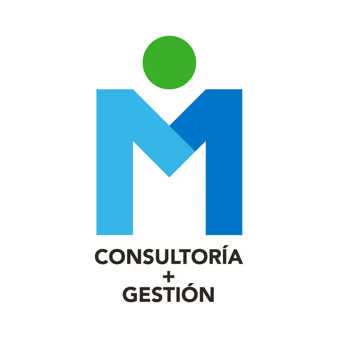 M CONSULTORÍA + GESTIÓN