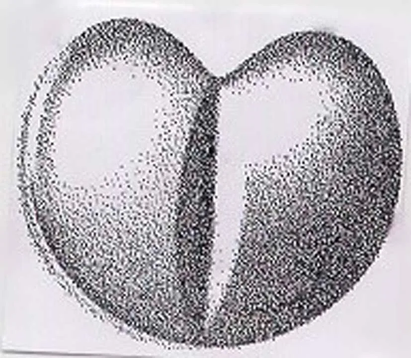 Acta 975177