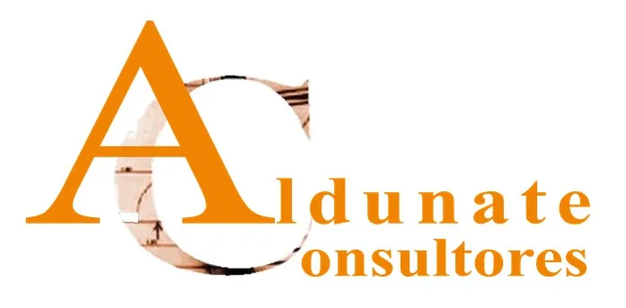 ALDUNATE CONSULTORES